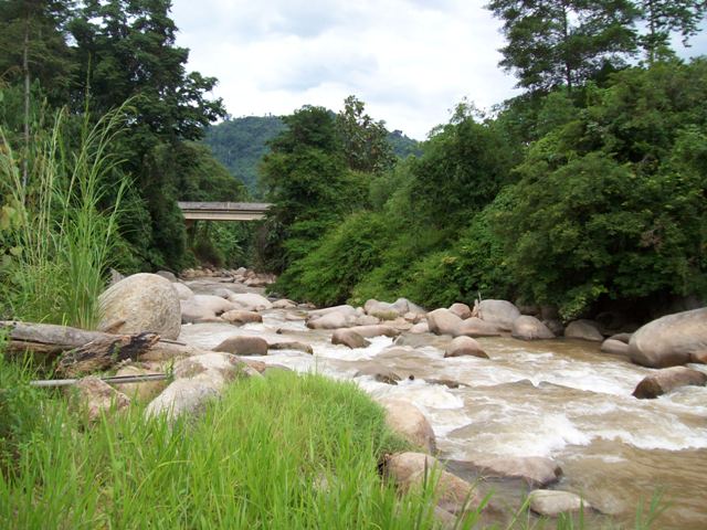 river, nature, water, rocks, pahang, clean