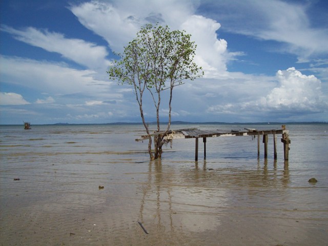 mangrove, labuan, sky, sea, nature, artistic, landscape